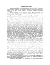 Reklamos ir jos ypatumai  5 puslapis