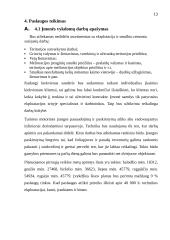 Verslo Planas - Melioracijos įmonė 13 puslapis