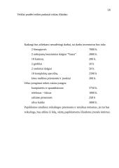 Verslo Planas - Melioracijos įmonė 16 puslapis