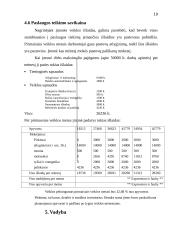 Verslo Planas - Melioracijos įmonė 19 puslapis