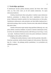 Verslo Planas - Melioracijos įmonė 4 puslapis