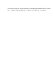 Reformacijos sąjūdis arba už ką M. Liuteris kritikuoja oficialų bažnytinį gyvenimą? 8 puslapis