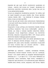 Bakterijų ir virusų sandara 3 puslapis