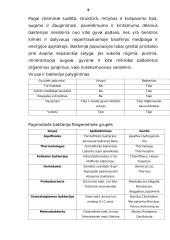 Bakterijų ir virusų sandara 5 puslapis