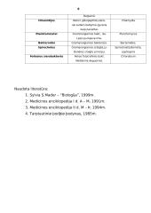 Bakterijų ir virusų sandara 6 puslapis