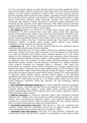 Videokamerų formatai ir struktūra 2 puslapis