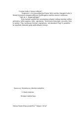 “Žmogus ir levas” analizė 2 puslapis