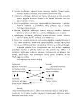 Psichologijos apibrėžimas, šakos, tyrimų sritys, tyrimų metodai 2 puslapis