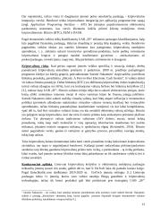 UAB SF invensticijų Japonijos kriptovaliutų rinkoje vertinimas 10 puslapis