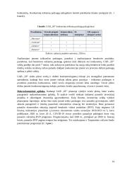 UAB SF invensticijų Japonijos kriptovaliutų rinkoje vertinimas 11 puslapis