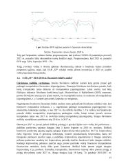 UAB SF invensticijų Japonijos kriptovaliutų rinkoje vertinimas 12 puslapis