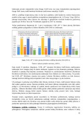 UAB SF invensticijų Japonijos kriptovaliutų rinkoje vertinimas 13 puslapis