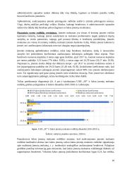 UAB SF invensticijų Japonijos kriptovaliutų rinkoje vertinimas 15 puslapis