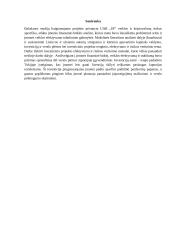 UAB SF invensticijų Japonijos kriptovaliutų rinkoje vertinimas