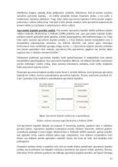 UAB SF invensticijų Japonijos kriptovaliutų rinkoje vertinimas 19 puslapis