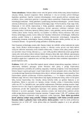 UAB SF invensticijų Japonijos kriptovaliutų rinkoje vertinimas 7 puslapis