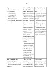 Grožio salono „Studija plius” marketingo planas 11 puslapis