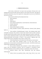 Grožio salono „Studija plius” marketingo planas 16 puslapis