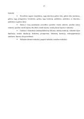 Grožio salono „Studija plius” marketingo planas 17 puslapis