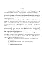 Grožio salono „Studija plius” marketingo planas 3 puslapis