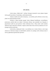 Grožio salono „Studija plius” marketingo planas 4 puslapis