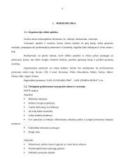 Grožio salono „Studija plius” marketingo planas 5 puslapis