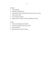 Grožio salono „Studija plius” marketingo planas 7 puslapis