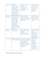 Ugdomosios veiklos planas su pritaikymu 2 puslapis