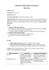 Ugdomosios veiklos planas su pritaikymu 3 puslapis