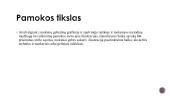 Haiku ir iliustracija 2 puslapis