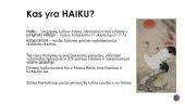 Haiku ir iliustracija 5 puslapis
