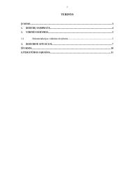 Derybos organizacijos viduje 2 puslapis