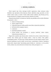 Derybos organizacijos viduje 4 puslapis