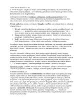 Skirgaila analizė 2 puslapis