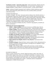 Skirgaila analizė 3 puslapis