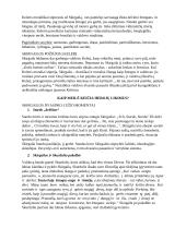 Skirgaila analizė 4 puslapis