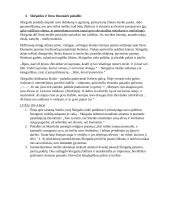 Skirgaila analizė 5 puslapis