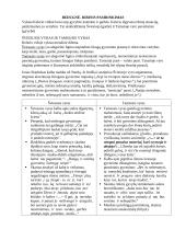 Skirgaila analizė 6 puslapis