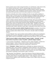 Skirgaila analizė 7 puslapis