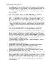 Skirgaila analizė 8 puslapis