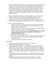 Skirgaila analizė 10 puslapis