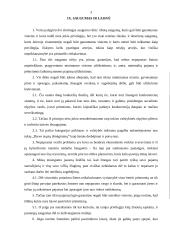 Saugumas ir laisvė. Kodėl iškyla blogiausieji? Tiesos pabaiga 2 puslapis