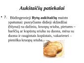 Aukštaitijos regionas 12 puslapis