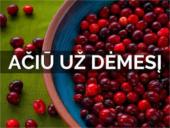 Aukštaitijos regionas 13 puslapis