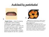 Aukštaitijos regionas 9 puslapis