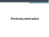 Partizaninis karas ir Lietuvos partizanai 17 puslapis