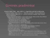 Radvilos – LDK didikų giminė 4 puslapis