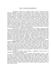 Simonas Stanevičius 6 puslapis