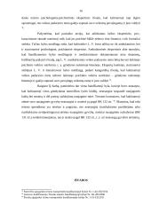  Naujagimio nužudymo samprata baudžiamosios teisės teorijoje 16 puslapis