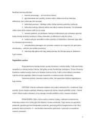 Sisteminio požiūrio samprata vadyboje 3 puslapis